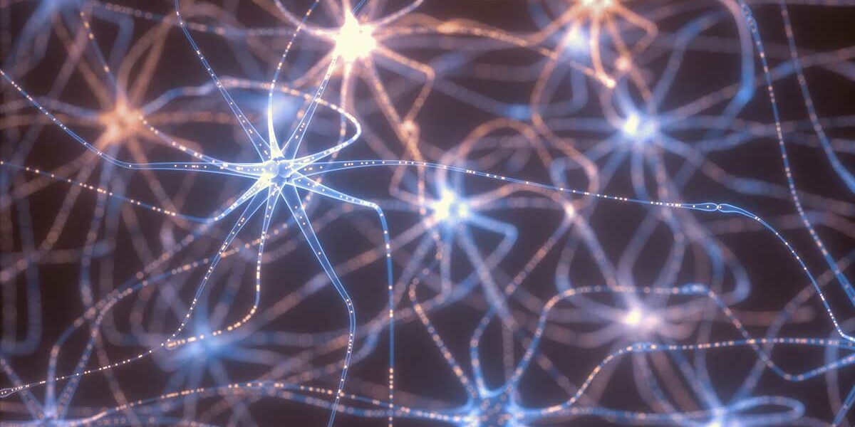 a-quoi-sert-reseau-neuronal