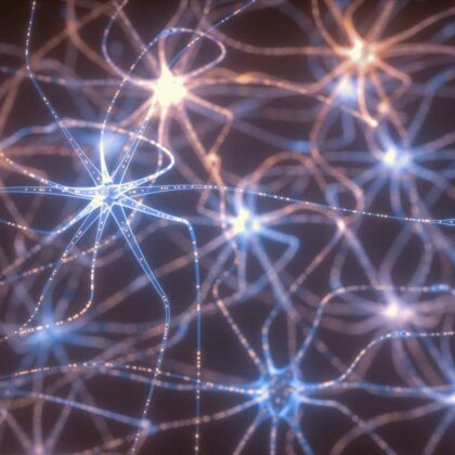 a-quoi-sert-reseau-neuronal