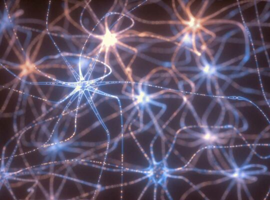 a-quoi-sert-reseau-neuronal