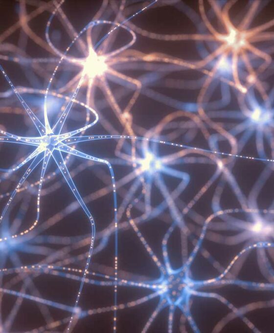 a-quoi-sert-reseau-neuronal