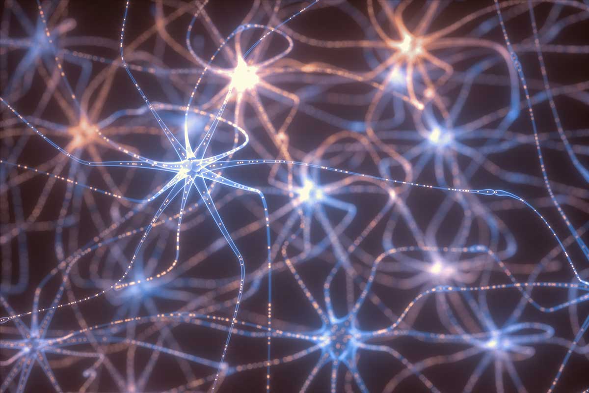 a-quoi-sert-reseau-neuronal
