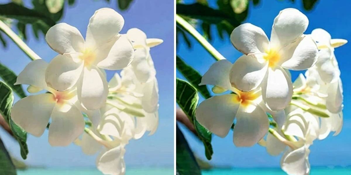 comprendre-luminosite-nits-visibilite