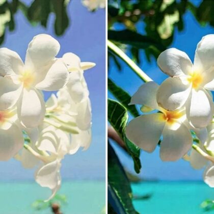 comprendre-luminosite-nits-visibilite