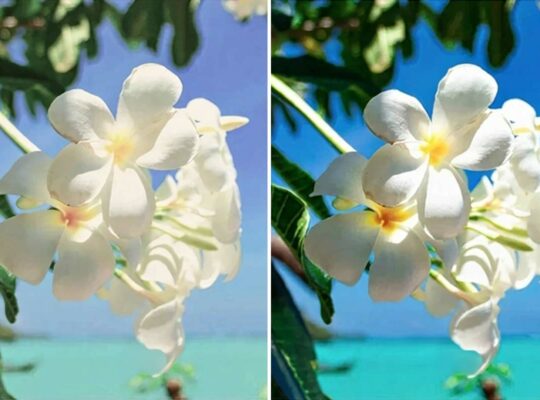 comprendre-luminosite-nits-visibilite