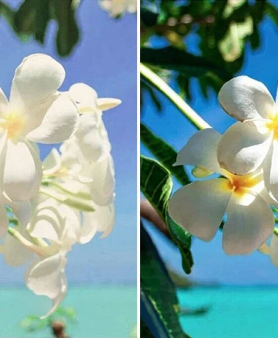 comprendre-luminosite-nits-visibilite