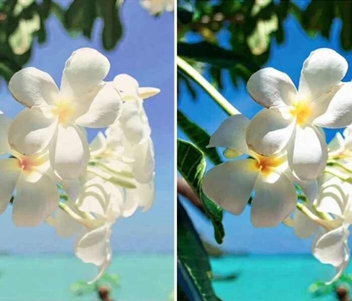 comprendre-luminosite-nits-visibilite